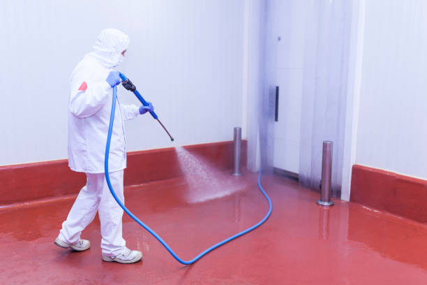 Best Driveway Pressure Washing  in Old Miakka, FL